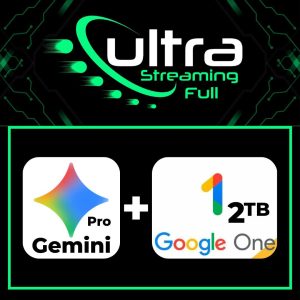 Gemini PRO 2 TB